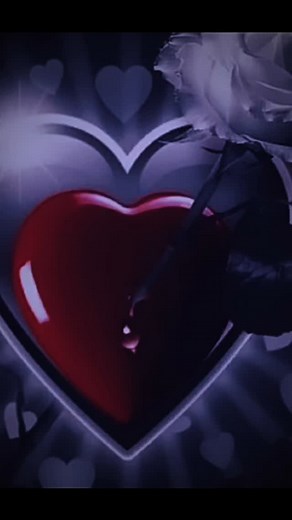 Hossein Mohammadi on Reels