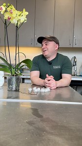 15K views · 408 reactions | Orchids and ice cubes... DON’T DO IT! 流 Hear from Horticulturist Nick G. on his preferred watering method. But hey! If the ice cubes work for you, don’t fix it! Our horticulturists simply suggest to feel or measure the weight of your orchid instead of submitting it to cold and inconsistent watering. Come see the annual Orchid Showcase through February 19! Included with Gardens’ admission. | Denver Botanic Gardens | Facebook