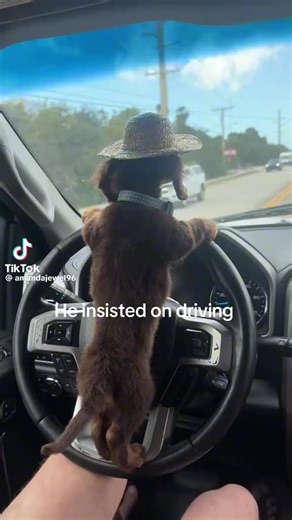 O2 (@o228685)’s videos with original sound - O2