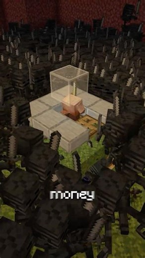 How Much Do Wither Skulls Make in 1 Hour?