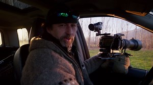 Observing European wildcats hunting in the wild