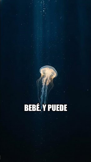 La medusa que es biologicamente inmortal