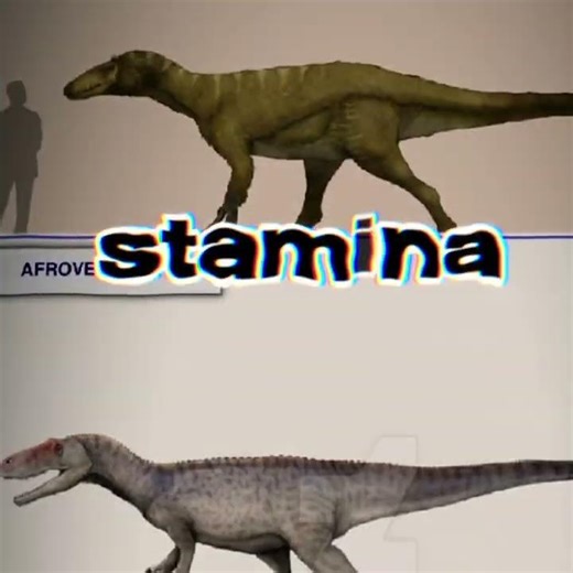 Afrovenator vs australovenator