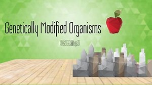GMOs