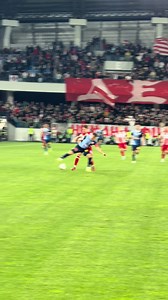 Crvena Zvezda match highlights and live summary