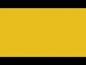 Led Lights Dark Yellow Screen Color [10 Hours]
