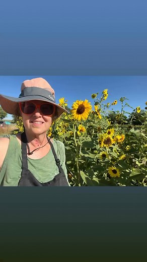 Robyn Wellman on Reels