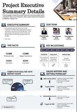 Project Executive Summary Details Presentation Report Infographic Ppt Pdf Document