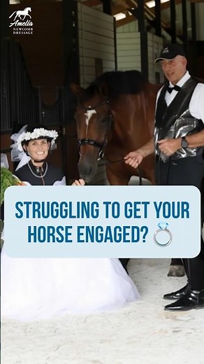 Struggling to get Your Horse Engaged?
