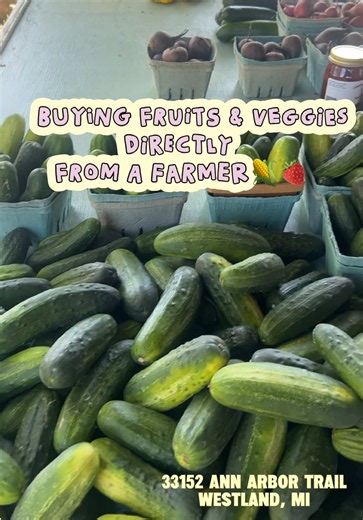 Westland Michigan Fruit & Veggie Market Haul