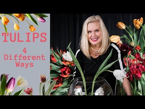 Arranging Tulips | 4 Different Ways