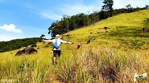 23K views · 1K reactions | BẠN ĐÃ SẴN SÀNG CHINH PHỤC VƯỜN QUỐC GIA...