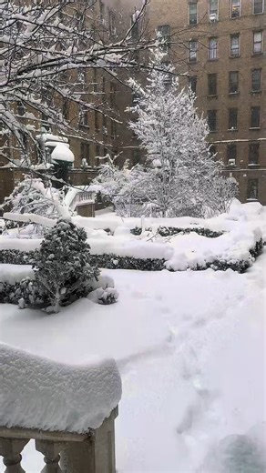 Exploring NYC's Winter Wonderland Experience