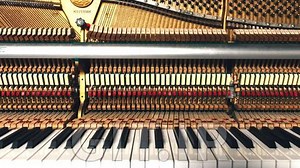 Counterpoint Fundamentals