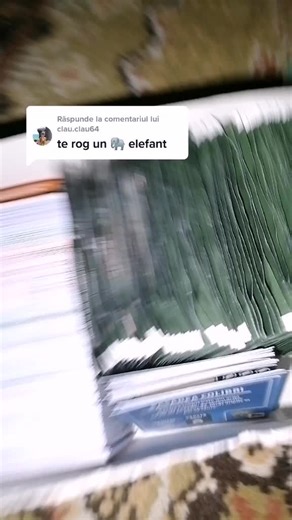 Răspunde lui @clau.clau64 #voiceeffects TikTok