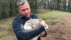 10K views · 929 reactions | Yep, this happened, one of the most...