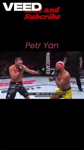 Petr Yan Body Kick Compilation !!!