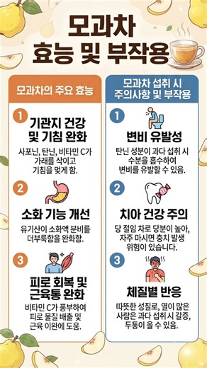 모과차 효능 및 부작용