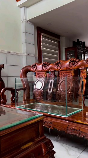 1.4M views · 31K reactions | Set up Hang Đá #Aquarium #Rinoaquarium #Thuysinh | An Tran | Facebook