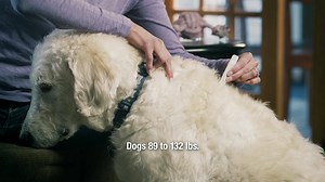 SENTRY Fiproguard for Dogs is formulated specifically for dogs and puppies over 8 weeks of age and weighing 4 to 132 lbs. | Sentry Pet Care