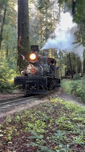 Norman's Flats Brings This Steam Train To Its Limit #trains #extreme #brutal