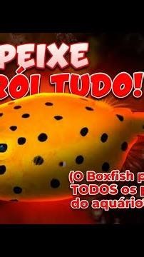 O Boxfish pode matar TODOS os peixes do aquário?