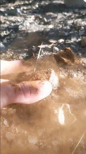 Dried puffball mushroom exploding with spores