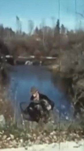 1.5M views · 10K reactions | Weird Animal Facts - File 105 Weird Animal Facts! In 1948 the Idaho Fish and Game transported 76 beavers to new lands by parachuting them using old surplus parachutes! Out of the 76, 75 survived the landing! #Beavers #animalfacts #themoreyouknow | Sanders Wildlife, Inc. | Facebook