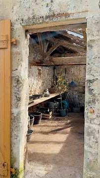 INCREDIBLE TRANSFORMATION of this GARDEN SHED 😍 #greenhouse #garden #vegetablegarden