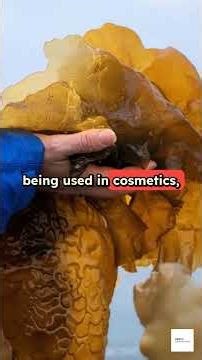 Underwater Farming: Norway's Sustainable Innovation