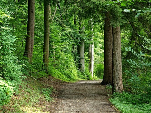 GCSO: Decatur and Grady Co. 9-11 dispatchers save two children lost in the woods