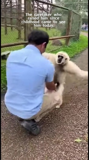 Long time no see #fyp #monkey #reunion #foryoupage