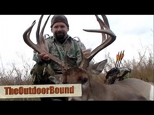 Bowhunting: MONSTER Whitetail Buck vs Thunderhead Broadhead