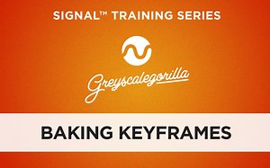 Signal Training: Baking to Keyframes