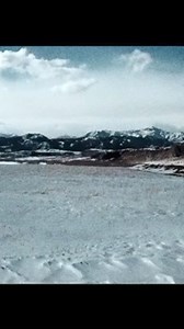 Corral Boots on Reels