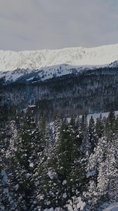 🎄 Feel the magic of the holidays in Bozeman! ❄️⁠ ⁠ From snow-covered adventures to twinkling downtown lights, festive shopping, and the beloved Christmas Stroll, Bozeman is the perfect place to celebrate the season.⁠ ⁠ ✨ Want to see it all? Head to our YouTube channel to watch the full video and experience the holiday magic for yourself!⁠ ⁠ 🎥 Watch now: https://youtu.be/Z8_52ypHF1A ⁠ The following businesses were integral to the making of this video. Thank you so much!⁠ ⁠ @crosscut_mt⁠ @bozema