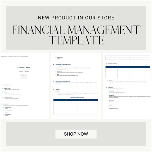 Financial Management Plan Template | Digital Budget Planner PDF & Word | Small Business Finance Organizer - Etsy