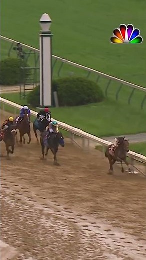 Where did MINE THAT BIRD come from? A Kentucky Derby ride for the ages from Calvin Borel in 2009! 🌹