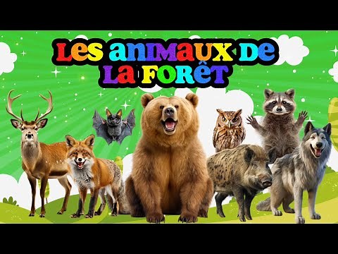 Les ANIMAUX DE LA FORÊT et leurs CRIS | LUDOKIDS