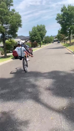 Understanding Vehicle Swerve Techniques