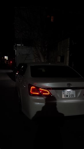 Avalon 2011 Limited Edition
