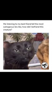 Ever heard of hell? 💀 | Meme Culture