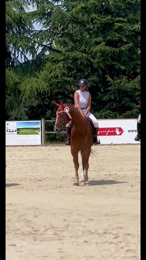 ✨G-Star du Garon ✨ Le cheval qui m’a tout appris. Celui avec qui j’ai grandi, essayé, réessayé… et tellement compris. Du pré à la plage, de l’entraînement aux remises des prix Merci pour chaque moment, chaque leçon, chaque victoire🐴💛 #victoir #horses #cso #plage #fyp
