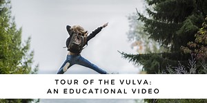 Tour of the Vulva: An Educational Video - Equilibria Physiotherapy & Nutrition