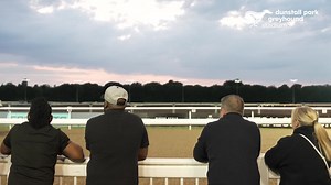 Dr Christian Spring, Principal Scientist for STRI Group attended the Arena Racing Company event last week at Dunstall Park.  The event brought together stakeholders, trainers and greyhound owners… | STRI Group