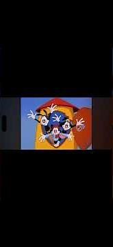 Jaydes AMV Animaniacs