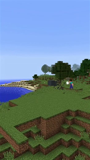 Hafsa Malik on Instagram: "Minecraft Shark Build Battle - Noob vs Pro vs Hacker #minecraft #instagood #reels #viral #gaming"