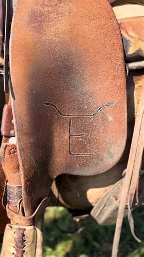 Flying E Ranch Cowley, WY #western #cowboy #cattleranch #cows #wyoming