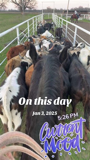 Straight facts #onthisday #fyppp #livinthebestlife #godisgood #jesussaves