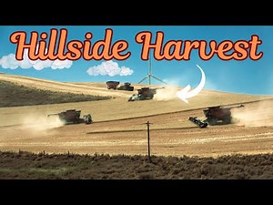 Hillside Wheat Harvest - Steep cutting with HillCo